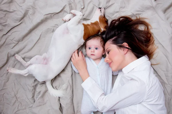 Молода мати і маленька дитина з собакою — стокове фото