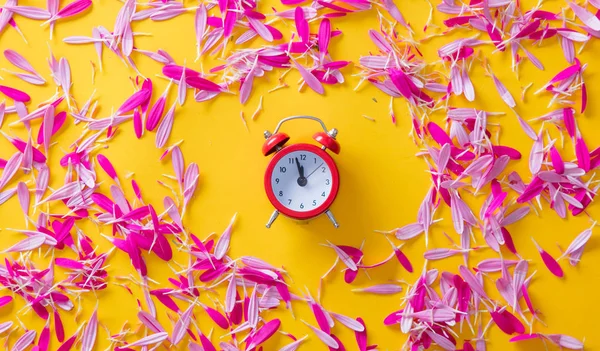 Pink and purple flower petals and little alarm clock — Stock Photo, Image