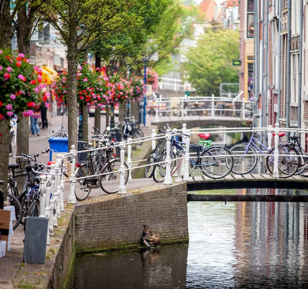 Bike sulle strade di Amsterdam, Paesi Bassi — Foto Stock