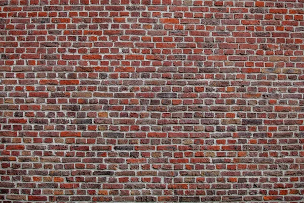 Mur Idéal Avec Briques Rouges Bruges Belgique — Photo