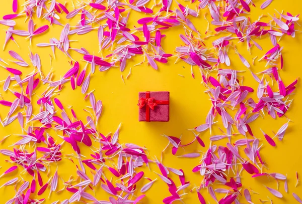 Petalo Fiori Rosa Viola Regalo Rosso Sfondo Giallo — Foto Stock