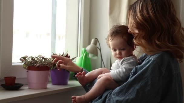 Young Beautiful Mother Playing Her Little Infant Son Standing Window — Stock Video