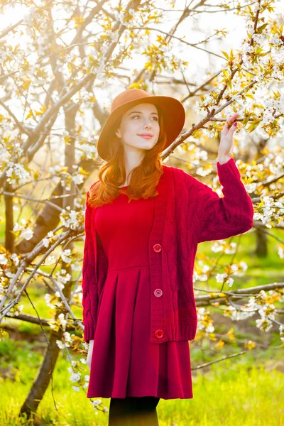 Roodharige Meisje Rode Jurk Muts Poseren Cherry Blossom Tuin — Stockfoto