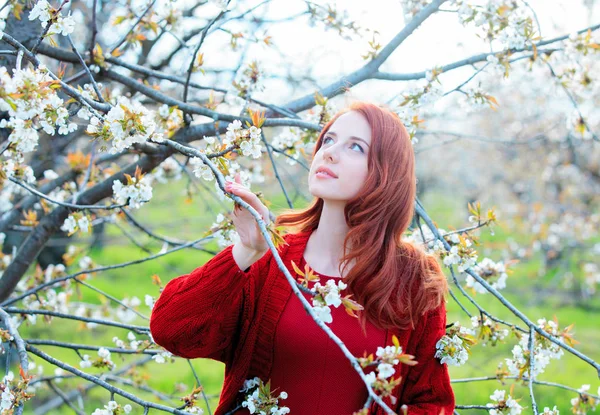 Jeune Belle Femme Vêtements Rouges Marchant Dans Jardin Cerisier Fleurs — Photo