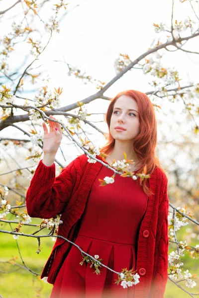 Mulher Bonita Nova Roupa Vermelha Que Anda Jardim Cereja Flor — Fotografia de Stock