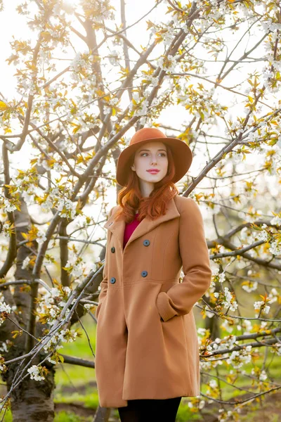Rödhårig Flicka Hatt Poserar Stående Blossom Cherry Garden — Stockfoto