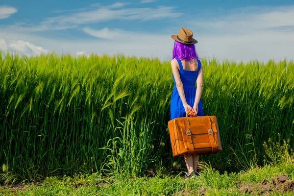 夏のシーズンに麦畑でスーツケース立って美しい紫の髪の女の子 裏面表示 — ストック写真