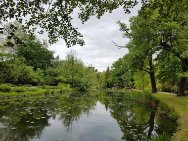 Nehir ve park bahar sezonu görüntülemek