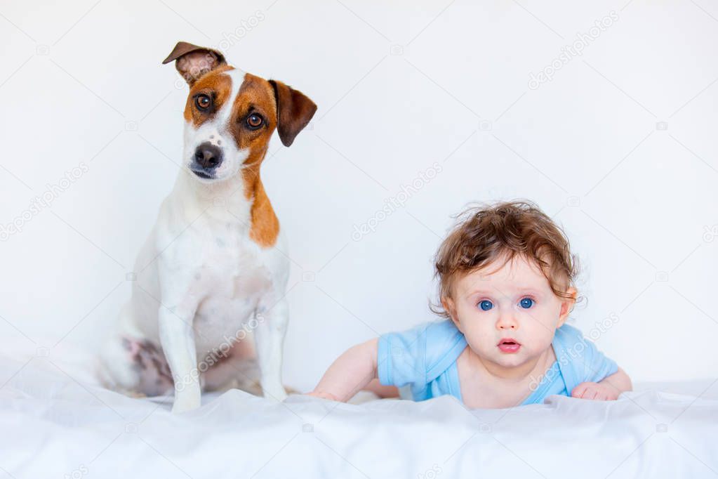 child boy with blue eyes and his friend dog