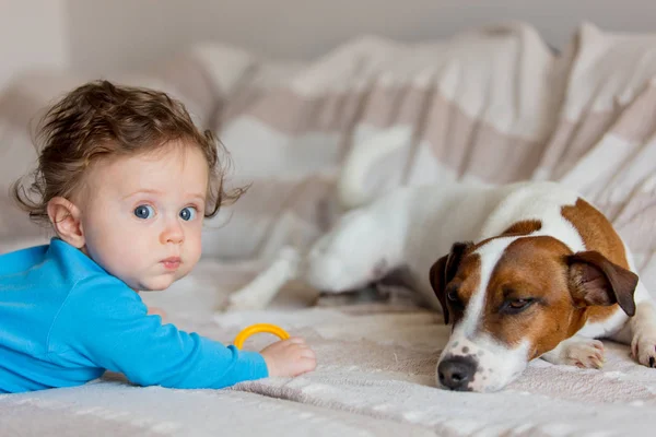 Baby jongetje met jack russell Terriër — Stockfoto