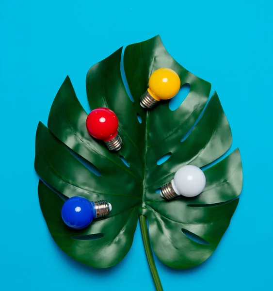 Цветные лампочки и зеленый пальмовый лист — стоковое фото