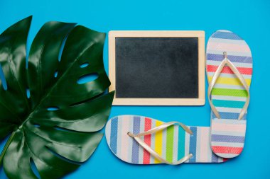 kötü oyuncu flop sandalet renkli, yazı tahtası ve palmiye yaprak. Üzerinde mavi arka plan izole nesneleri