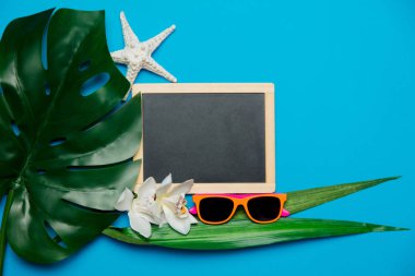 yazı tahtası ve palmiye yaprağı güneş gözlüklü. Üzerinde mavi arka plan izole nesneleri