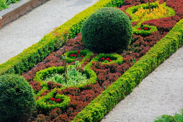 Beautiful garden decoration of bushes and flowers in palace.