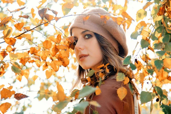 Estilo mulher em roupas vintage perto de bétula árvore — Fotografia de Stock