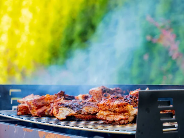 Gegrillte Schweinerippchen mit Rauch — Stockfoto