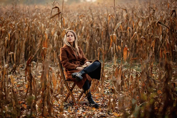 Στυλ γυναίκα με βιβλίο κάθεται σε καρέκλα στο χωράφι με καλαμπόκι το φθινόπωρο t — Φωτογραφία Αρχείου