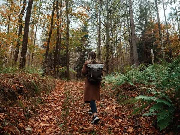 Дівчина з рюкзаком в осінньому лісі — стокове фото