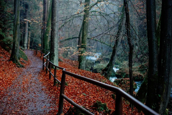 Fence near river in mountains of Czech Switzerland — Stock Photo, Image