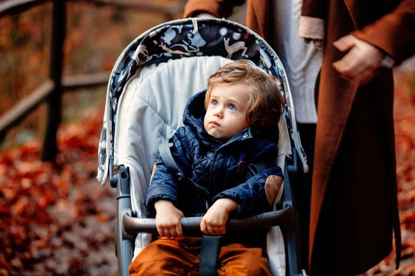 Leksakspojken i barnvagn med mamma i en park — Stockfoto