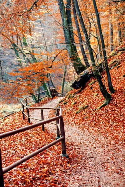 Recinzione vicino al fiume nelle montagne della Svizzera Ceca — Foto Stock