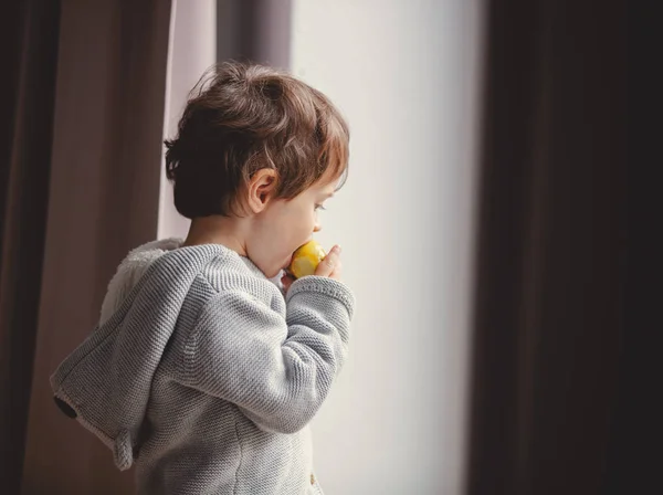 Menino pequeno comendo uma maçã — Fotografia de Stock