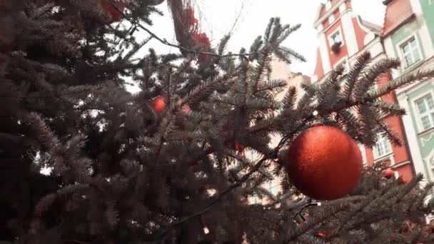 Rote Christbaumkugel Auf Kiefer Auf Dem Weihnachtsmarkt Wroclaw Polen — Stockvideo