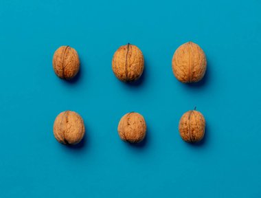 Mavi bir yüzeyde dört ceviz