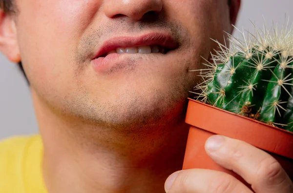 Man houd cactus dichtbij gezicht — Stockfoto