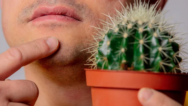 Hombre mantenga cactus cerca de la cara —  Fotos de Stock