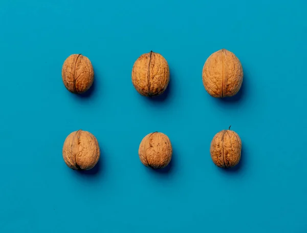 Four walnuts on a blue surface — Stock Photo, Image