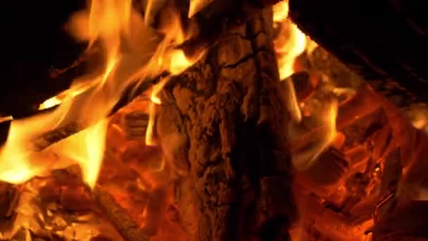 Close View Flame Burning Log — Stock Video