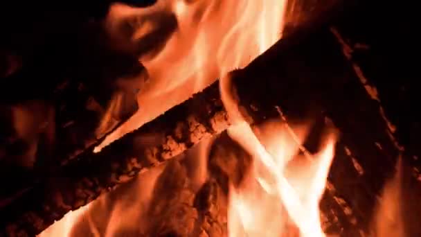 Close View Flame Burning Log — Stock Video