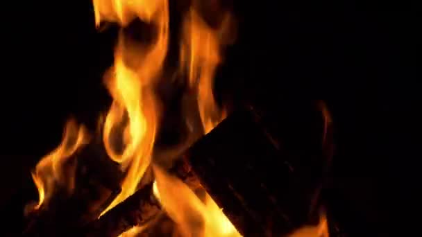 近距离观察燃烧的圆木的火焰 — 图库视频影像