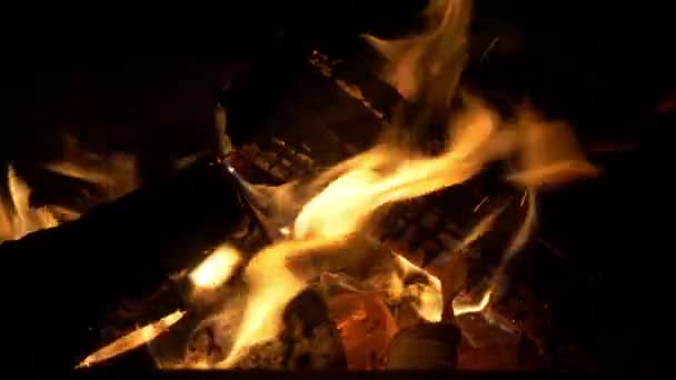 Close View Flame Burning Log — Stock Video