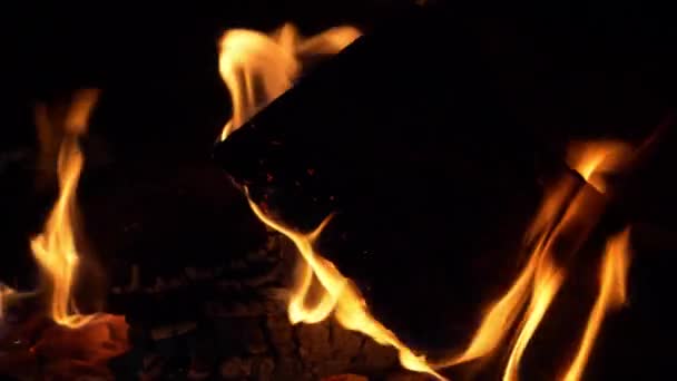 Close View Flame Burning Log — Stock Video