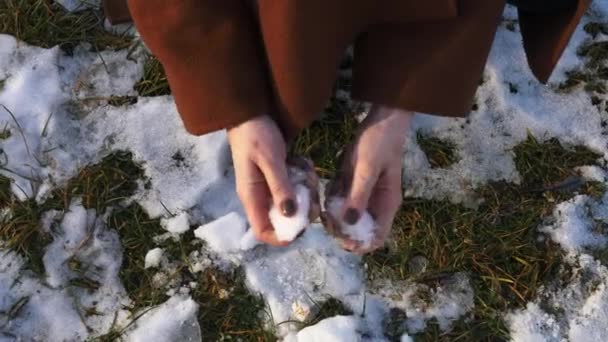 Girl Breaks Snow Her Hands Throws Grass — 图库视频影像