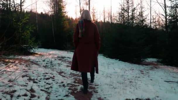 Junge Blondine Mantel Spaziert Durch Einen Verschneiten Wald — Stockvideo