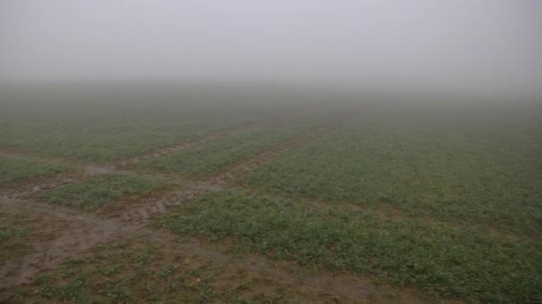 Encrucijada Del País Tiempo Niebla — Vídeos de Stock