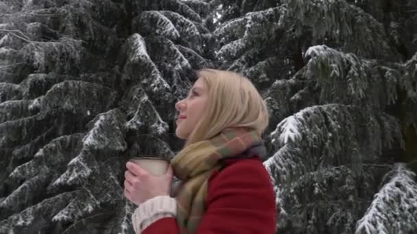 Hermosa Mujer Rubia Con Taza Café Bosque Nieve — Vídeos de Stock