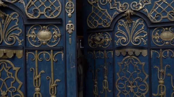 Ένα Νεαρό Κορίτσι Βγαίνει Πίσω Από Παλιές Πόρτες — Αρχείο Βίντεο