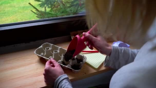 Woman plants vegetable seeds in egg cartons — Stock Video