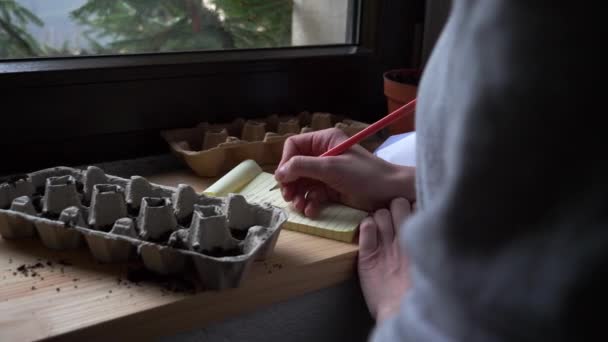 Woman plants vegetable seeds in egg cartons — ストック動画