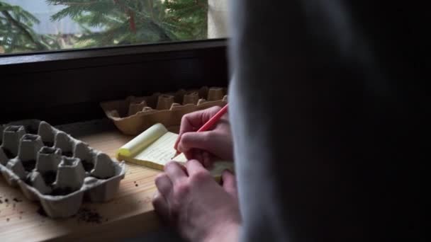 Женщина сажает семена овощей в коробки с яйцами — стоковое видео
