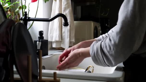 Mujer lava un plato en la cocina — Vídeos de Stock