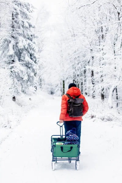 Padre e figlio con carro nella foresta — Foto Stock