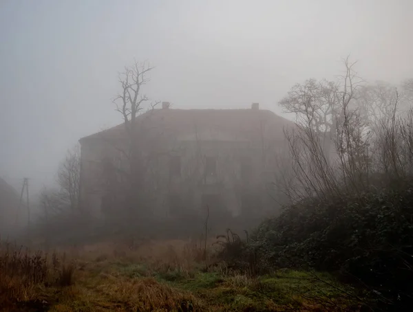 Vecchio maniero abbandonato nella nebbia a dicembre — Foto Stock