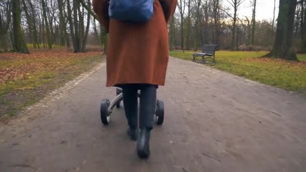 Parkta Bebek Arabasıyla Yürüyen Bir Kadın — Stok video