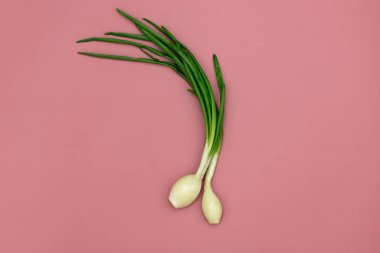 Pembe arka planda genç soğanlar 