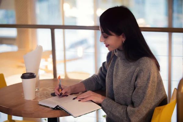 Bruna donna con notebook sta lavorando in un caffè — Foto Stock
